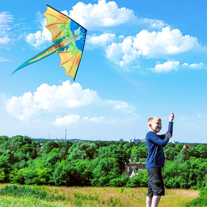Xida Kites for Kids Ages 4-8, Large Kite for Adults, Easy to Fly Beach Kites with Handle and
