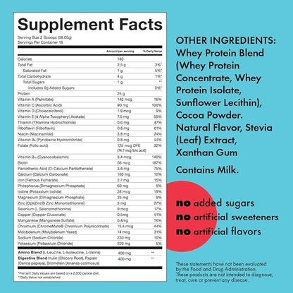 Kick Whey Protein Powder, Chocolate Flavor, 25 G Protein Gluten Free Workout Supplement with Amino