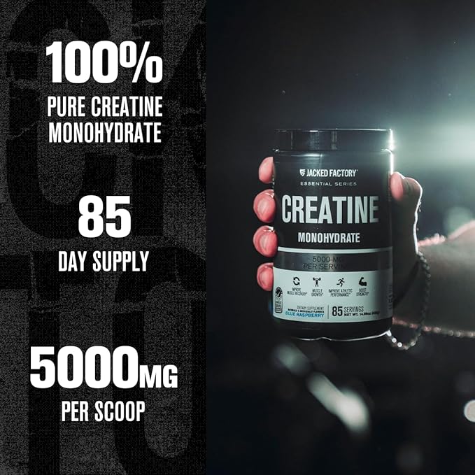 Jacked Factory Creatine Monohydrate Powder 425g - 5g Daily Creatine Supplement for Men and Women