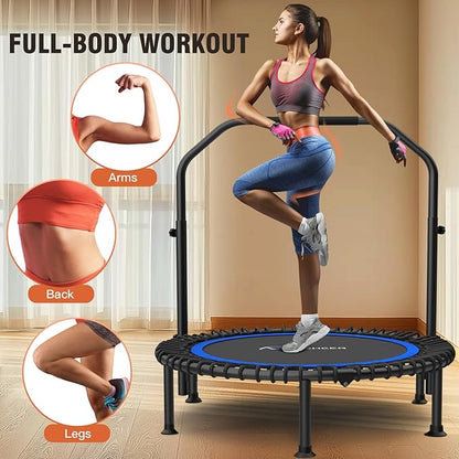 Bungee Rebounder Trampoline,ANCHEER 40" Foldable Fitness Trampoline with 4-Level Adjustable