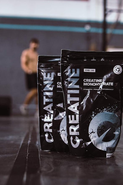 Vivo Life - Creatine Monohydrate Powder Micronised - Vegan, Unflavoured (8.8 oz, 84 Servings)