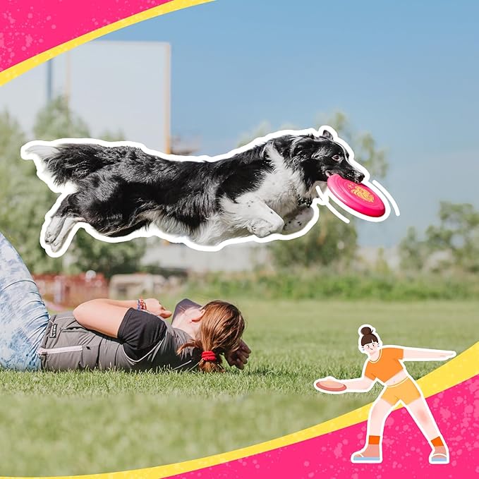 Wham-O Frisbee Go Flying Disc, 9 Inch Lightweight Sports Disc for Beginners Outdoor Beach Backyard