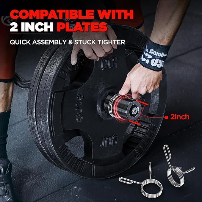 TEEMOO Olympic EZ Curl Barbell Bar, 47" Curl Bar with 2 Spring Collars,Curling bar for Weight