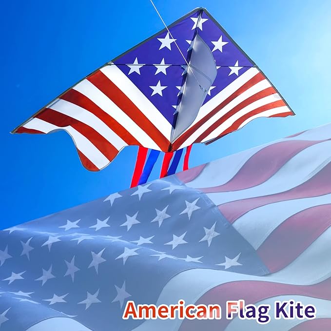 Delta Kite for Kids & Adults - Easy to Fly Large Single Line Beach Kite with 300ft String Handle