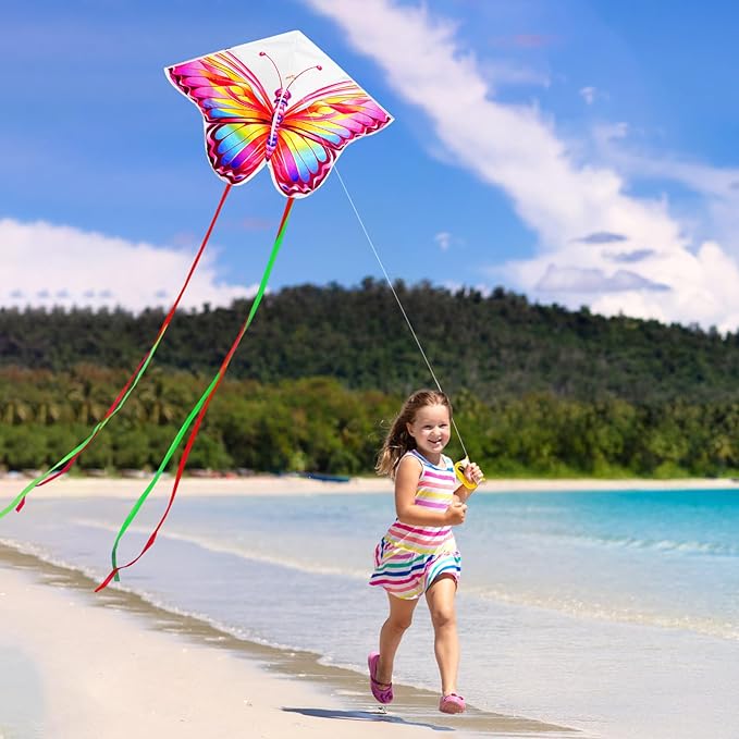 HENGDA KITE 2 Pack Butterfly Kite,for Kids and Adults,Easy to Fly,Excellent Fabric and Structure