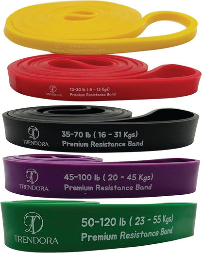 Premium Resistance Bands Set of 5, Exercise Bands, Workout Bands Set for Working Out with Handles