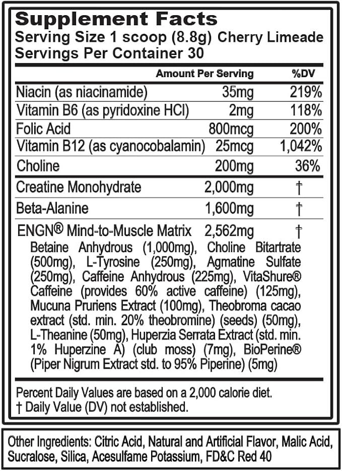 EVL Intense Pre Workout with Creatine - ENGN Energizing Pre Workout for Men Powder Drink for