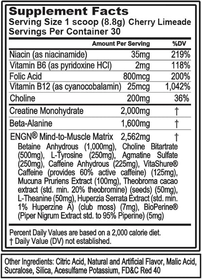EVL Intense Pre Workout with Creatine - ENGN Energizing Pre Workout for Men Powder Drink for