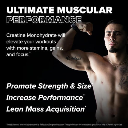 FINAFLEX Pure CREATINE, Unflavored - 5.3 oz - Promotes Muscular Strength, Size & Performance - 100%