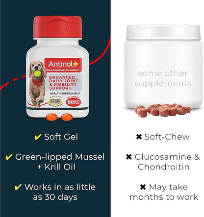 Plus, Mobility, Hip, and Joint Supplement for Dogs, Green-Lipped Mussels and Krill Oil - Dog Joint
