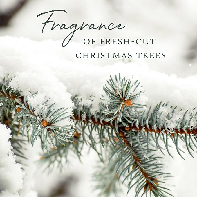 Thymes Frasier Fir Scented Candles for Home Decor - Green Pillar Candles for Women & Men - Place on