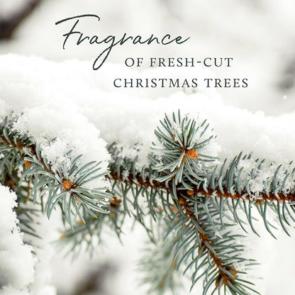 Thymes Frasier Fir Scented Candles for Home Decor - Green Pillar Candles for Women & Men - Place on