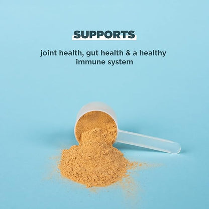 Ancient Nutrition Grass Fed, Cage Free, Bone Broth Protein Powder, 20g Protein, Hydrolyzed Collagen