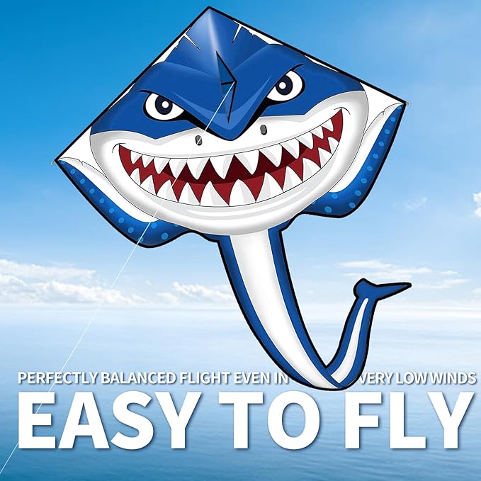 Kite for Kids Ages 3-5 4-8 & Adults, Flying Toys| Beach Toys| Outdoor Toys, Easy to Fly Butterfly