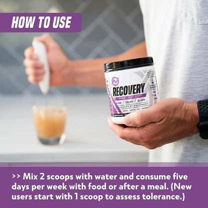 Outwork Nutrition Post Workout Recovery Powder - Creatine Monohydrate, KSM-66 Ashwagandha & Tart
