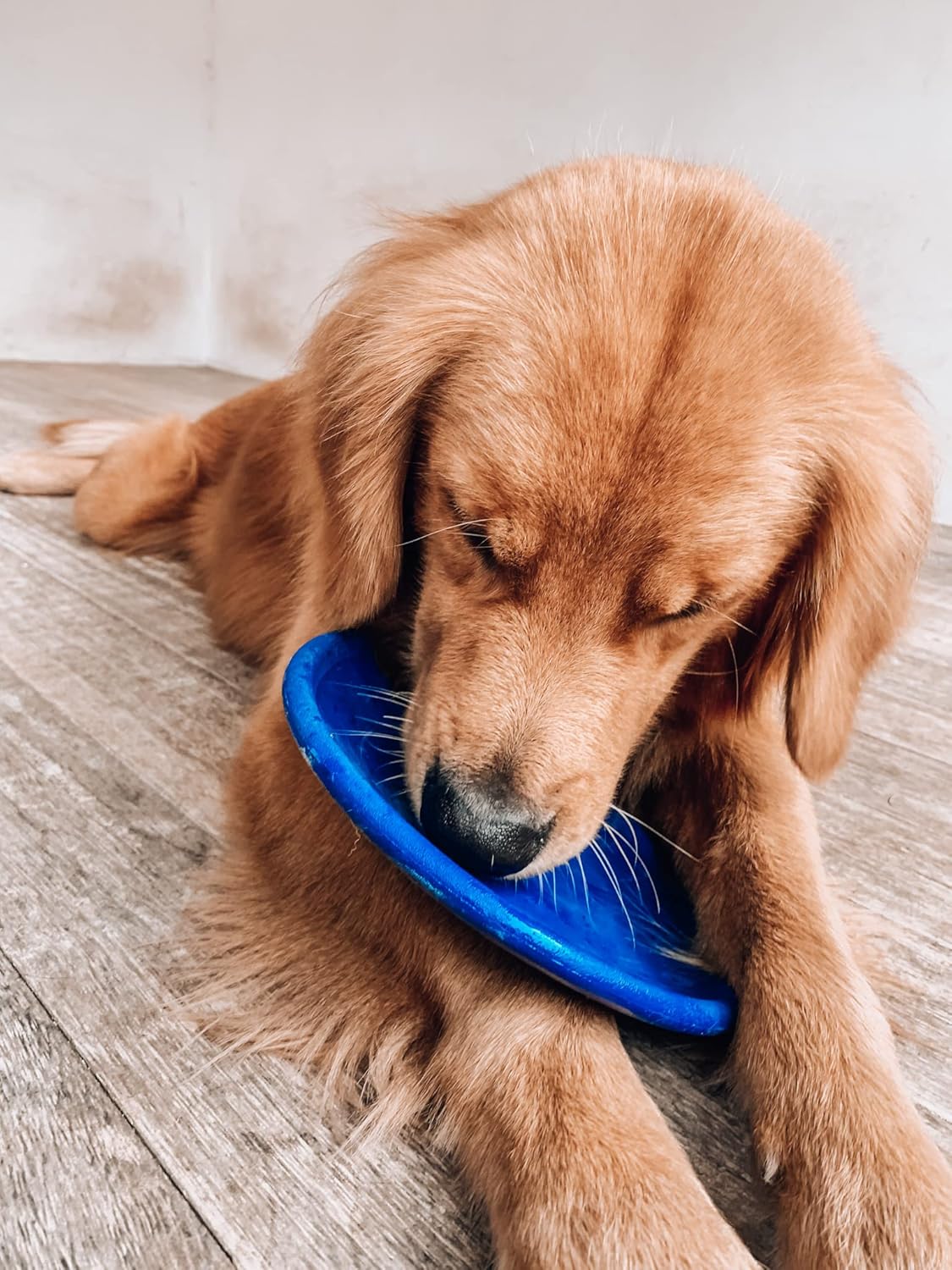 Ultra Durable Rubber Flying Disc Dog Toy for Aggressive Chewers – Heavy Duty Natural Rubber Frisbee