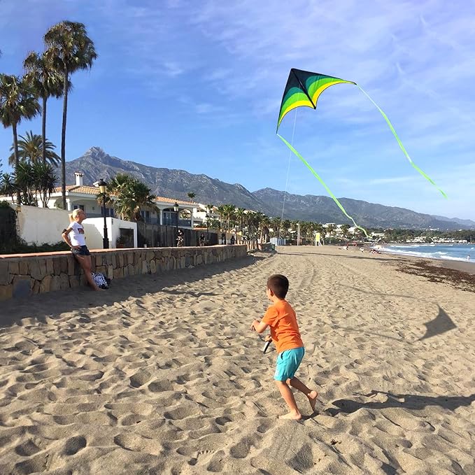 Large Delta Kite Easy to Fly with Kite Reel Set, Beach Kite & Kite Spool for Kids & Adults, Single
