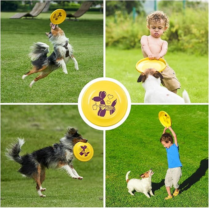 Wham-O Frisbee Fastback Flying Disc, 9.35 Inch Dog-Friendly Lightweight Sports Disc Toy for Outdoor