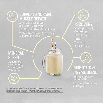 Sunwarrior Organic Plant Based Protein Powder | Vegan Organic Protein Powder with BCAA Amino Acids