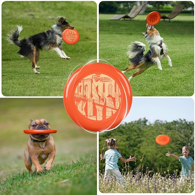 Wham-O Frisbee Cool Flyer Flying Disc, 9.95 Inch Sports Disc Lightweight Durable for Outdoor Beach