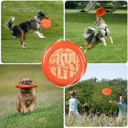Wham-O Frisbee Cool Flyer Flying Disc, 9.95 Inch Sports Disc Lightweight Durable for Outdoor Beach