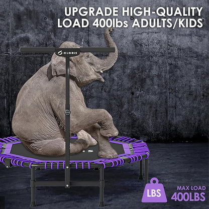 CLORIS 38in/48in Folding Trampoline - Max Load 220lbs / 450lbs Trampoline Rebounder Trampoline for