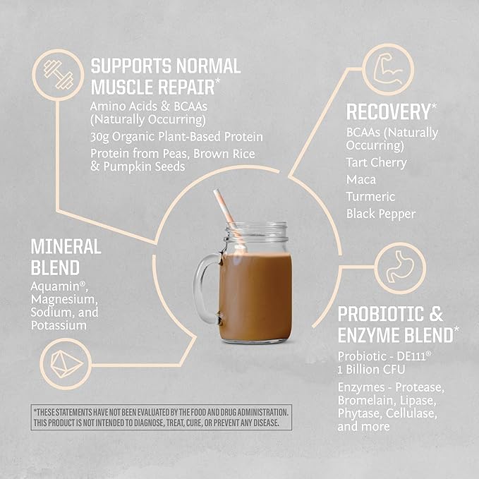 Sunwarrior Organic Plant Based Protein Powder | Vegan Organic Protein Powder with BCAA Amino Acids