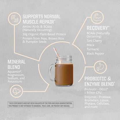 Sunwarrior Organic Plant Based Protein Powder | Vegan Organic Protein Powder with BCAA Amino Acids
