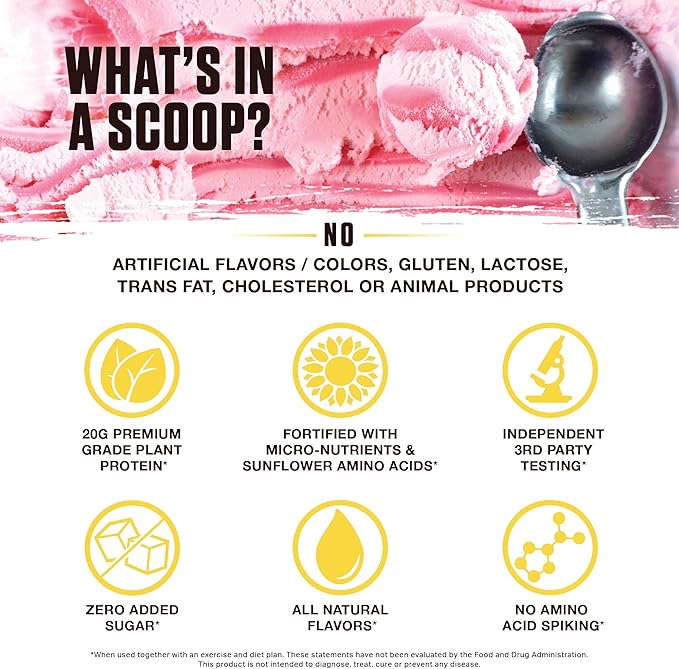 Ambrosia Planta - Premium Plant-Based Protein | Vegan & Keto Friendly | Gourmet Flavors with No
