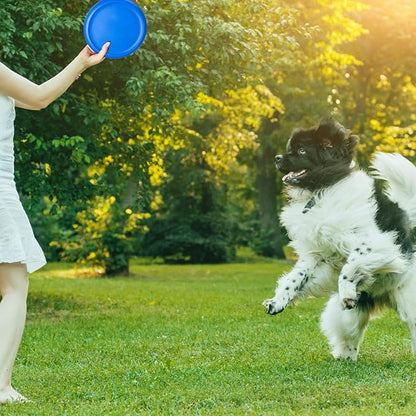 8 Inch Foam Flying Discs PE Equipment Coated Foam Soft Flying Discs Kid Toy for Physical Education