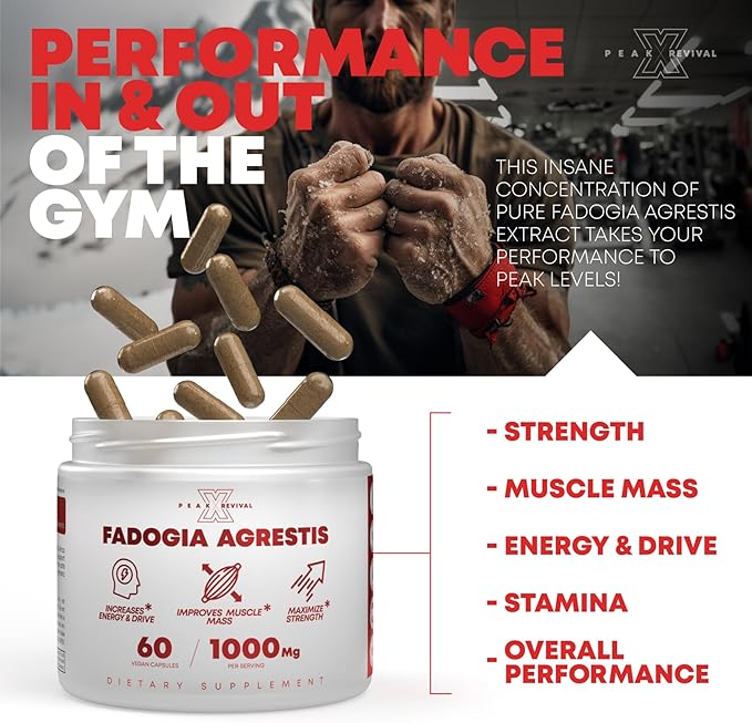 Fadogia Agrestis 1000mg Per Serving Supplement - Potent Extract to Increase Energy, Athletic