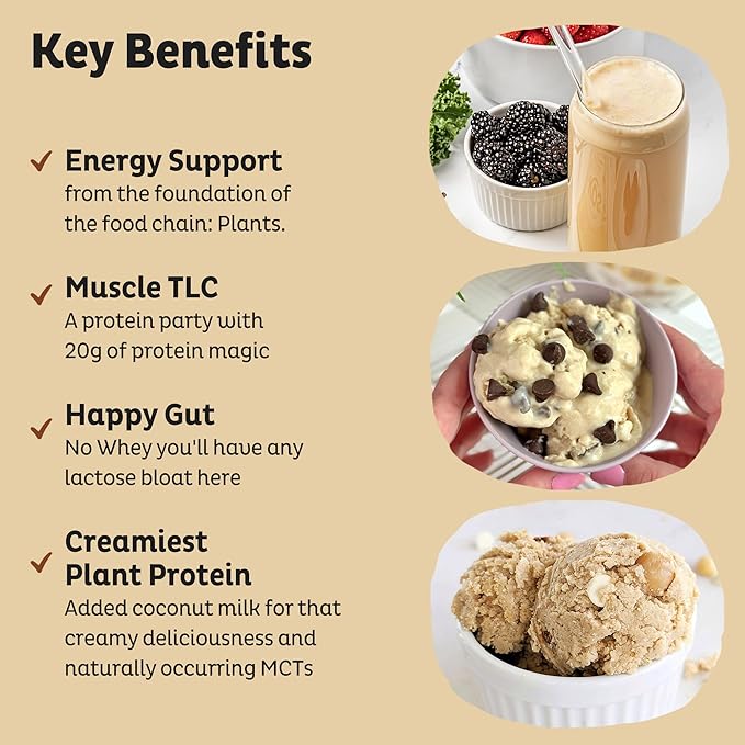 KOS Vegan Protein Powder Erythritol Free, Vanilla - USDA Organic Pea Protein Blend, Plant Based
