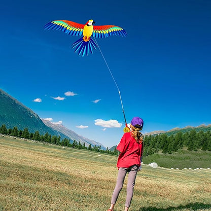HENGDA KITE Fishing Rod Kite,for Kids and Adults,Easy to Fly,Excellent Fabric and Structure