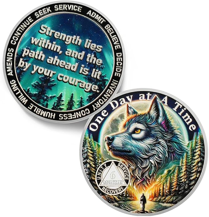 One Day at a Time 6 Month Sobriety Coin - Recovery Aurora Forest Wolf AA Coins - Addiction NA AA