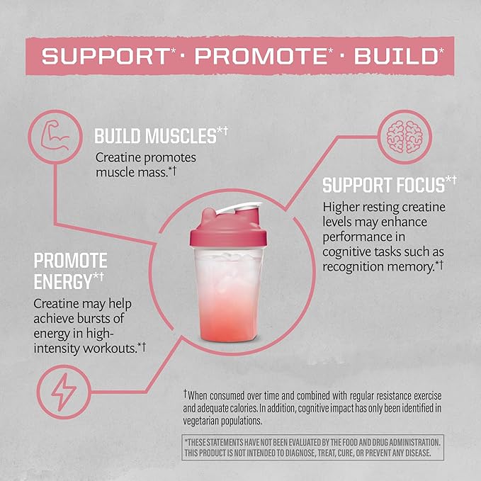 Creatine Monohydrate Powder Micronized PreWorkout Recovery Supplement | Support Muscle Building
