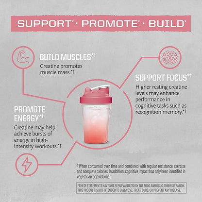 Creatine Monohydrate Powder Micronized PreWorkout Recovery Supplement | Support Muscle Building