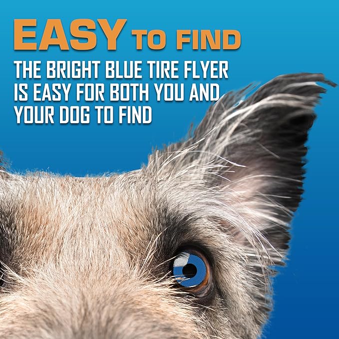 Nerf Dog Tire Flyer Outdoor Dog Toy, 10 Inch Flying Disc Dog Fetch Toy, Rubber Dog Toy for Medium