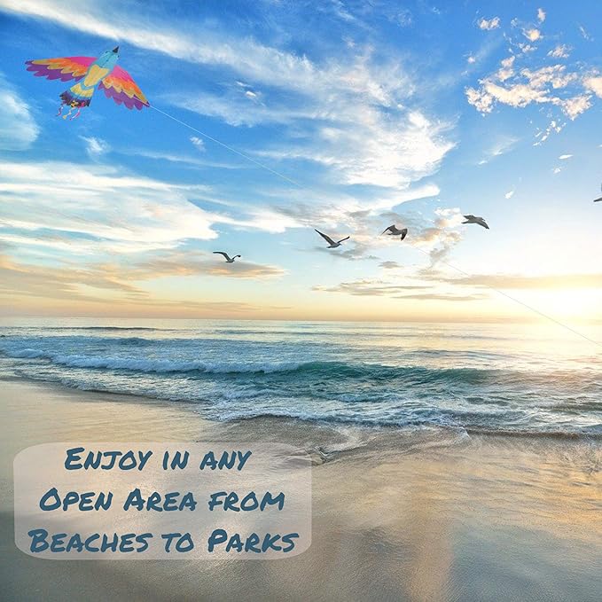 Premier Kites Paradise Bird Kite are Great Kites for Adults and Easy to Fly Kites for Kids | A