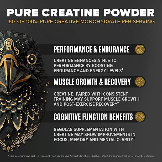Falcon Performance Vegan Protein Powder, 31g Protein, 5g Creatine, 5g BCAA, Probiotics