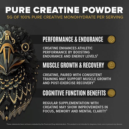 Falcon Performance Vegan Protein Powder, 31g Protein, 5g Creatine, 5g BCAA, Probiotics