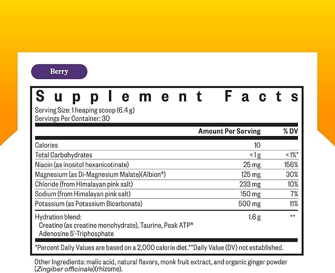 Seeking Health Optimal Electrolyte Powder, Berry Flavor, Healthy Energy and Endurance Support