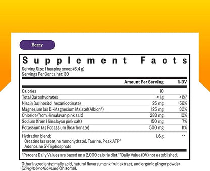 Seeking Health Optimal Electrolyte Powder, Berry Flavor, Healthy Energy and Endurance Support