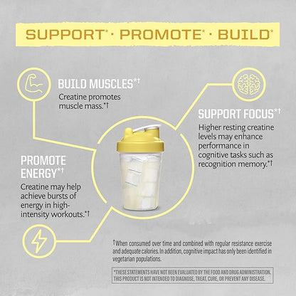Creatine Monohydrate Powder Micronized PreWorkout Recovery Supplement Support Muscle Building