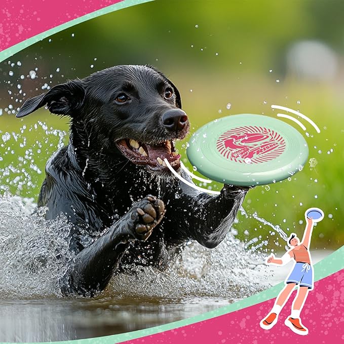 Wham-O Frisbee Go Flying Disc, 9 Inch Lightweight Sports Disc for Beginners Outdoor Beach Backyard