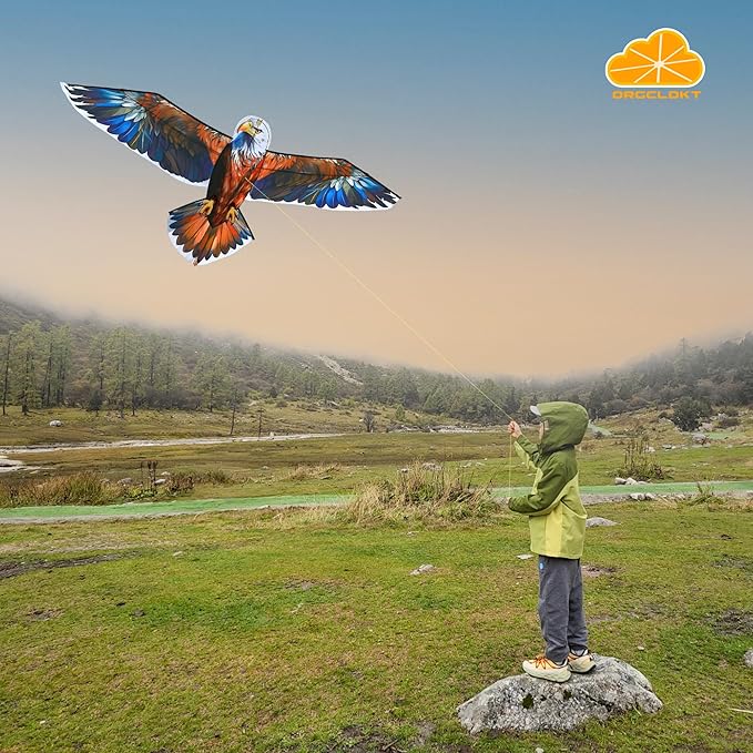 ORGCLDKT- 3D Lifelike Style Bird/Eagle Kite, Super Easy to Fly with, Ideal for Kids, Adults, Girls