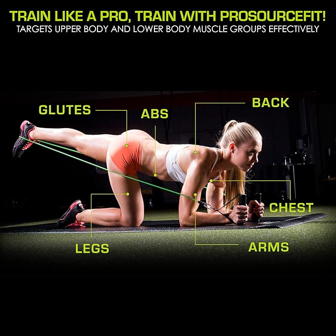 ProsourceFit Single Stackable Resistance Bands with Door Anchor and Exercise Guide, 5-8 LB, Heavy