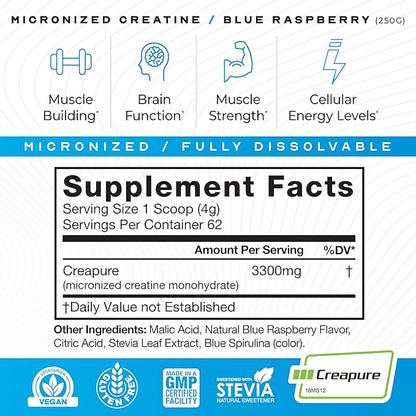 Muscle Feast Creapure - Micronized Creatine Monohydrate Powder | Premium Pre-Workout or