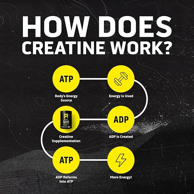 Ascent Clean Creatine Monohydrate Powder - 5G Per Serving, Creapure Creatine Supplement