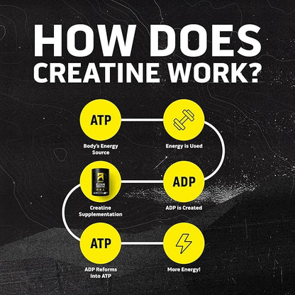 Ascent Clean Creatine Monohydrate Powder - 5G Per Serving, Creapure Creatine Supplement