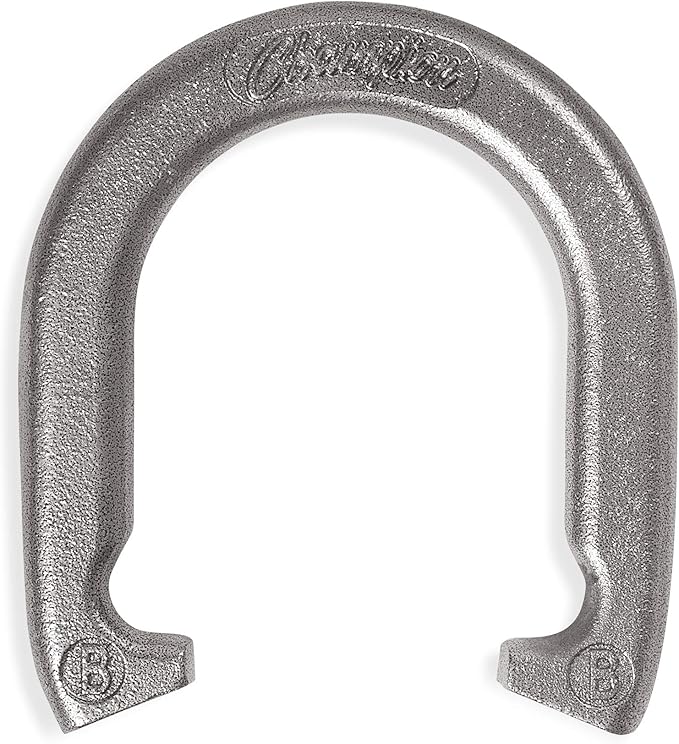 Champion Sports Horseshoe Set: Traditional Outdoor Lawn Game includes Four Professional Solid Steel
